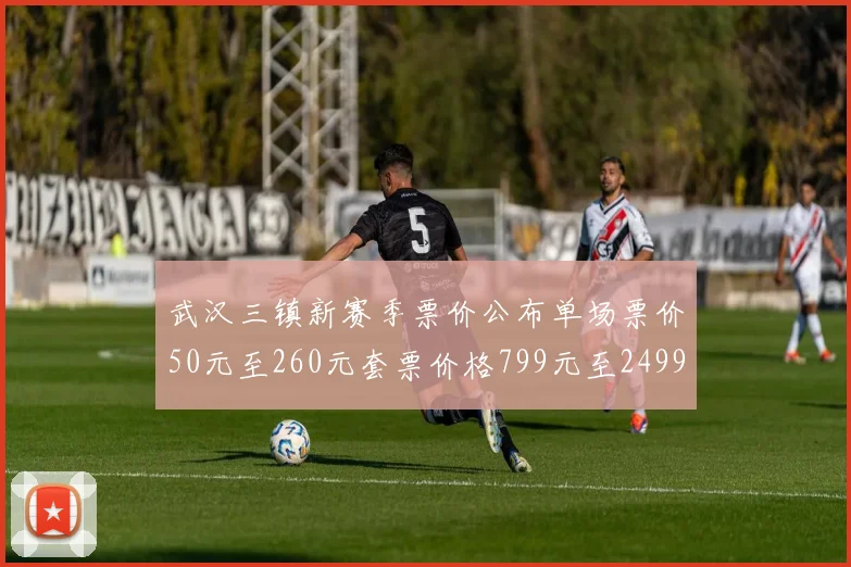 武汉三镇新赛季票价公布单场票价50元至260元套票价格799元至2499元