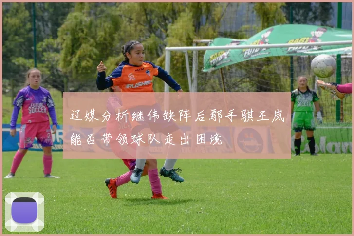 辽媒分析继伟缺阵后鄢手骐王岚嵚能否带领球队走出困境